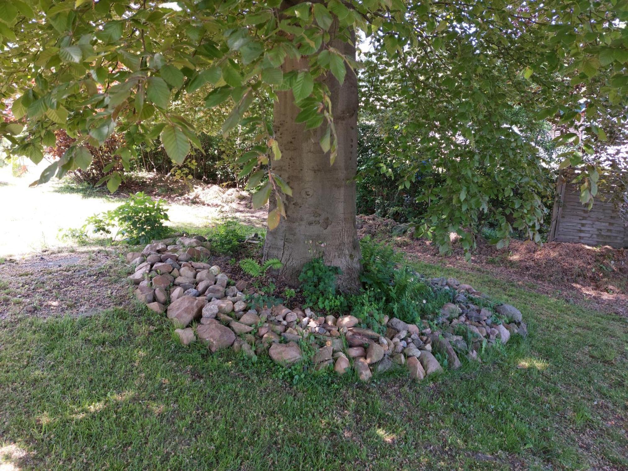 Gasthof Oberschmiede Auf der Wiese المظهر الخارجي الصورة